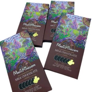 Magic Kingdom Chocolate Bar