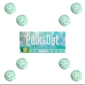 PolkaDot Mushroom Chocolate Bar – Mint Chocolate Bar