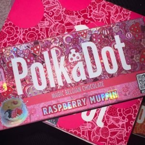 Polkadot Mushroom Chocolate Bar Raspberry Muffin