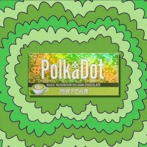 PolkaDot Mushroom Chocolate Bar – Matcha